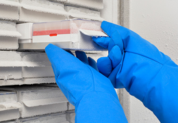 ample-Protectionnew.png ample-Protectionnew.png