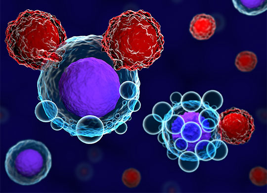 bioprocessing-cell-therapy-864309570-540x390.jpg