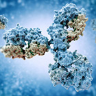 bioprocessing_solutions_antibody_140.jpg
