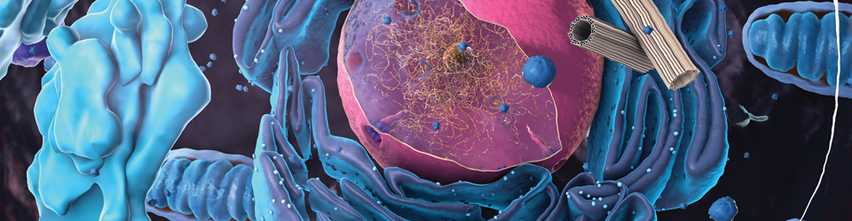 boreal-biology-resources-960.jpg boreal-biology-resources-960.jpg