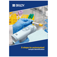 brady_5steps.jpg brady_5steps.jpg