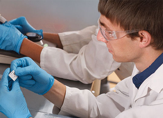 brady_main_540x390.jpg brady_main_540x390.jpg