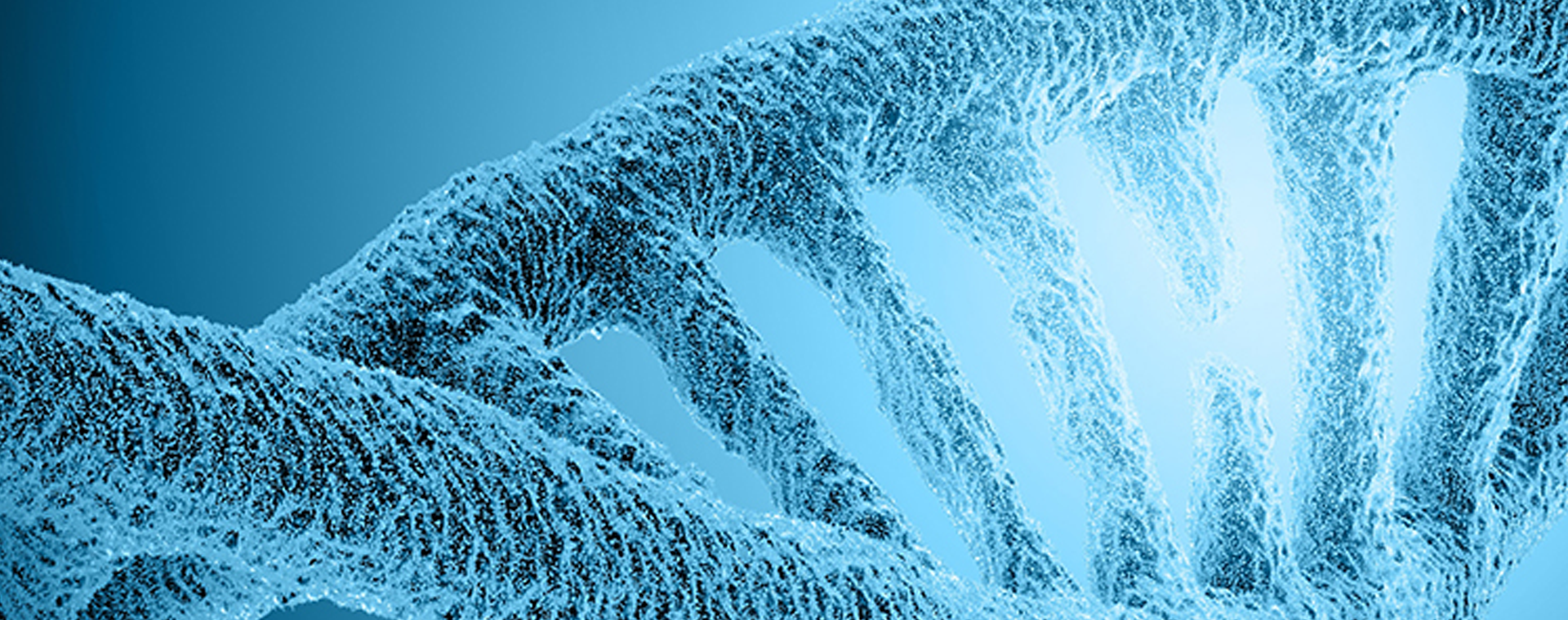 cDNA-synthesis.png cDNA-synthesis.png