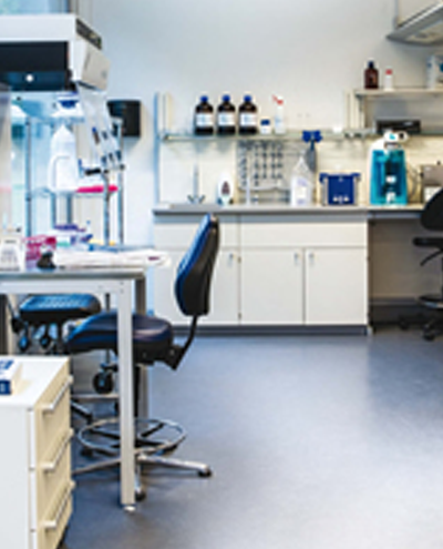 cardfive.png cardfive.png