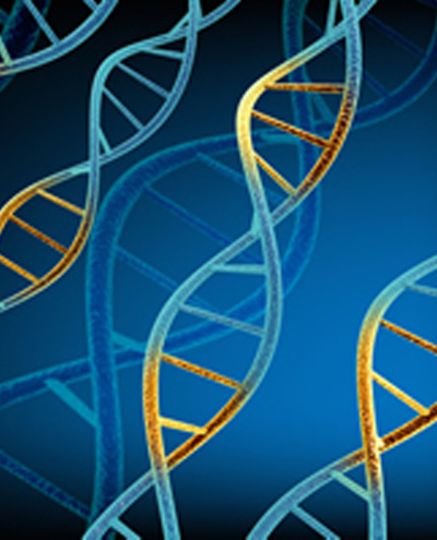 cardone.png cardone.png