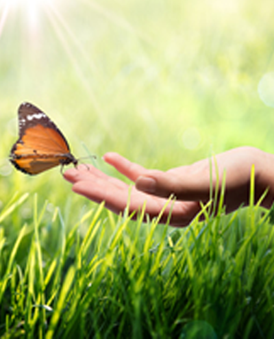 cardseven.png cardseven.png