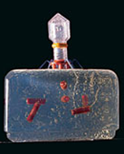 cell-biology-models-400x495.png cell-biology-models-400x495.png