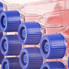 cell_growth2_140_option.jpg cell_growth2_140_option.jpg