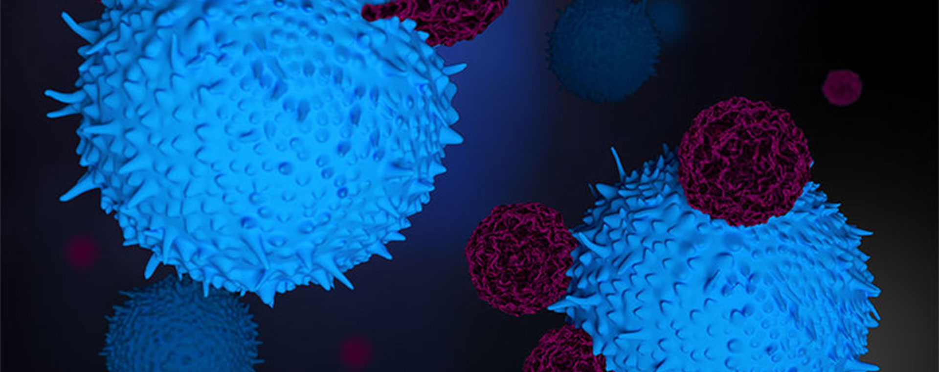 cells-attacking-cancer-1920x760.jpg cells-attacking-cancer-1920x760.jpg