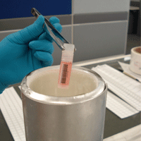 clear_label.png clear_label.png