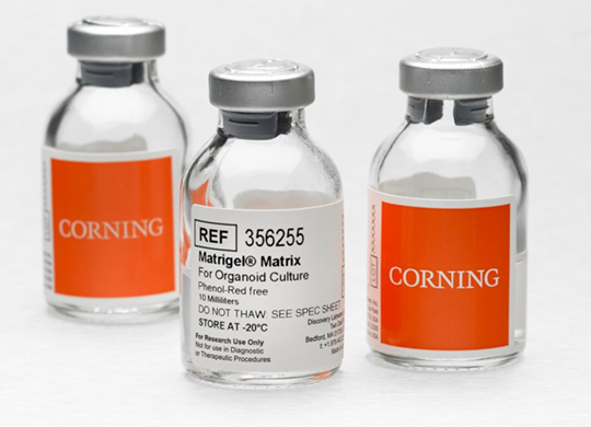 coating1.jpg coating1.jpg