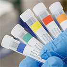 color-code-140.jpg color-code-140.jpg