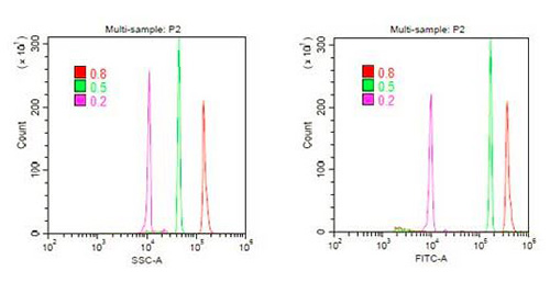 cytoflex_nanoparticles_500.jpg