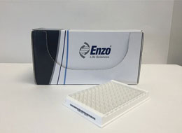 enzoEIA-Kit.jpg enzoEIA-Kit.jpg