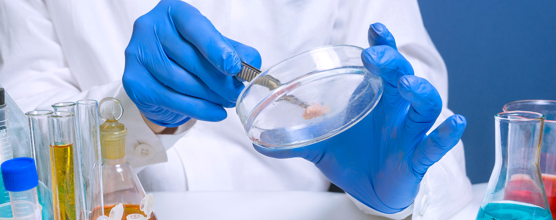 food-analysis-1293326746-1920x760.jpg food-analysis-1293326746-1920x760.jpg