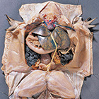 form-free-preserved-140.jpg form-free-preserved-140.jpg