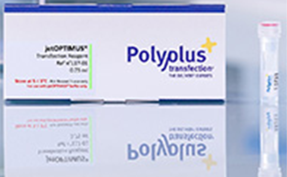 heropolyplus.png heropolyplus.png