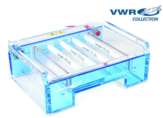horizontal-electrophoresis-540.jpg horizontal-electrophoresis-540.jpg