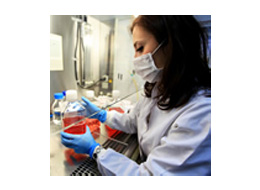 hotte_260x190.jpg hotte_260x190.jpg