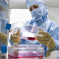 in_vitro_main.jpg in_vitro_main.jpg