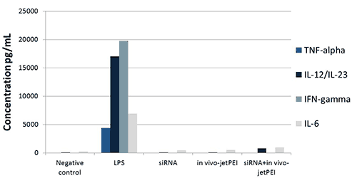 in-vivo-jetPEI---Inflammatory-response.png