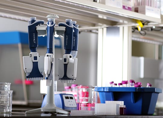 lapsolution_540x390_2.jpg lapsolution_540x390_2.jpg