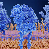 life_science_proteomics_200.jpg life_science_proteomics_200.jpg