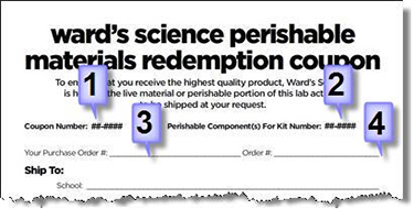 live_coupon_375.jpg live_coupon_375.jpg