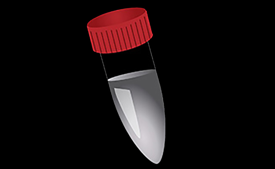 lucigen_routine_pcr_feature.jpg