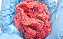 meat-speciation.jpg meat-speciation.jpg