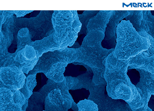 merck-cell-540.jpg merck-cell-540.jpg