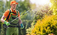 merck-pesticides-analysis.jpg merck-pesticides-analysis.jpg