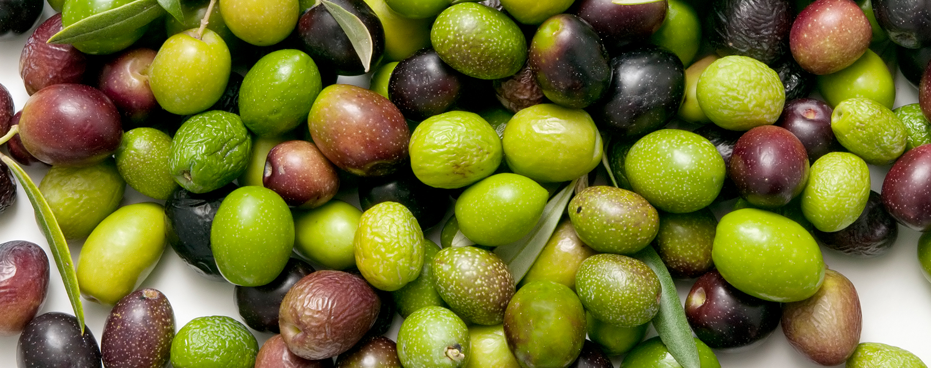 method 1633 heromain page.jpg method 1633 heromain page.jpg