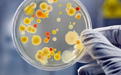 microbiological-testing-fb.jpg microbiological-testing-fb.jpg