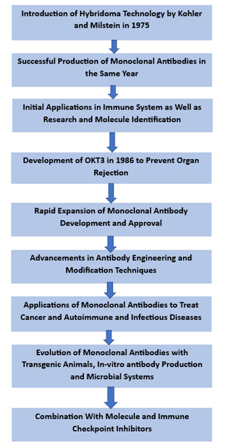 Monoclonal antibodies inforgraphic