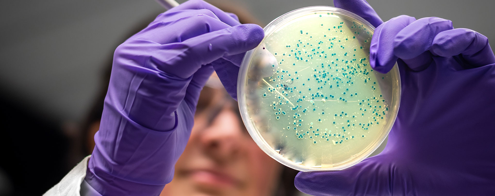 petri-dish-1190512184-1920x760.jpg petri-dish-1190512184-1920x760.jpg