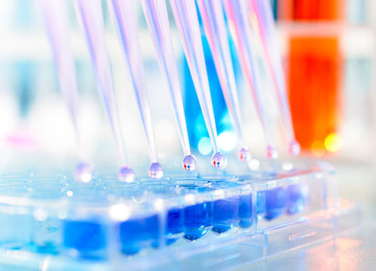 pipppete_lh_540x390.jpg pipppete_lh_540x390.jpg