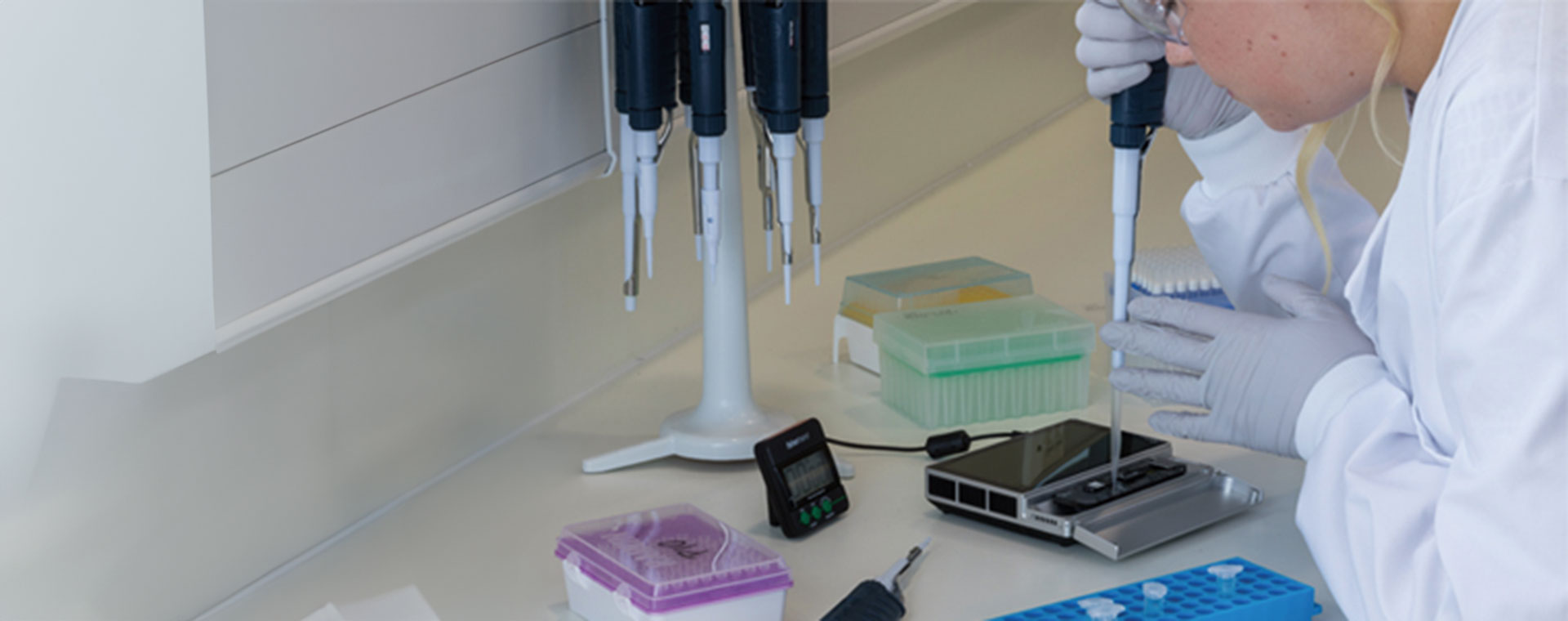plasmid-sequencing-webinar-1920x760.jpg plasmid-sequencing-webinar-1920x760.jpg