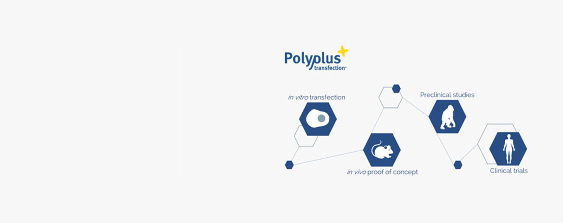 polyplus-in-vivo-delivery-webinar-1920x760.jpg