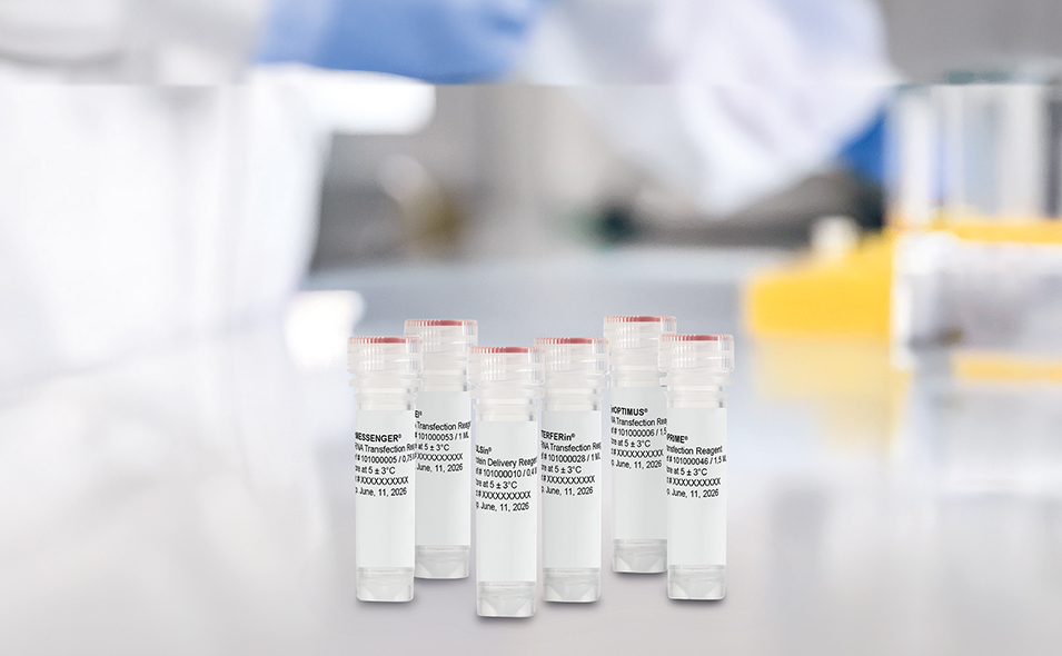 polyplus_transfection.jpg polyplus_transfection.jpg