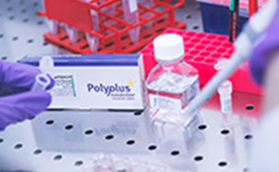 polypurse.png polypurse.png
