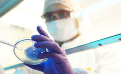 preparation_watermark_245.jpg preparation_watermark_245.jpg