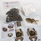 preserved-kit-frog_140x140.jpg preserved-kit-frog_140x140.jpg