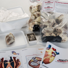 preserved-kits-heart_140x140.jpg preserved-kits-heart_140x140.jpg