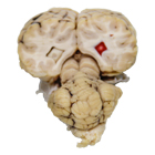 preserved-new-sim-path_140x140.jpg preserved-new-sim-path_140x140.jpg