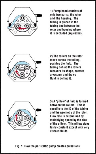 pump-pulsation.png pump-pulsation.png