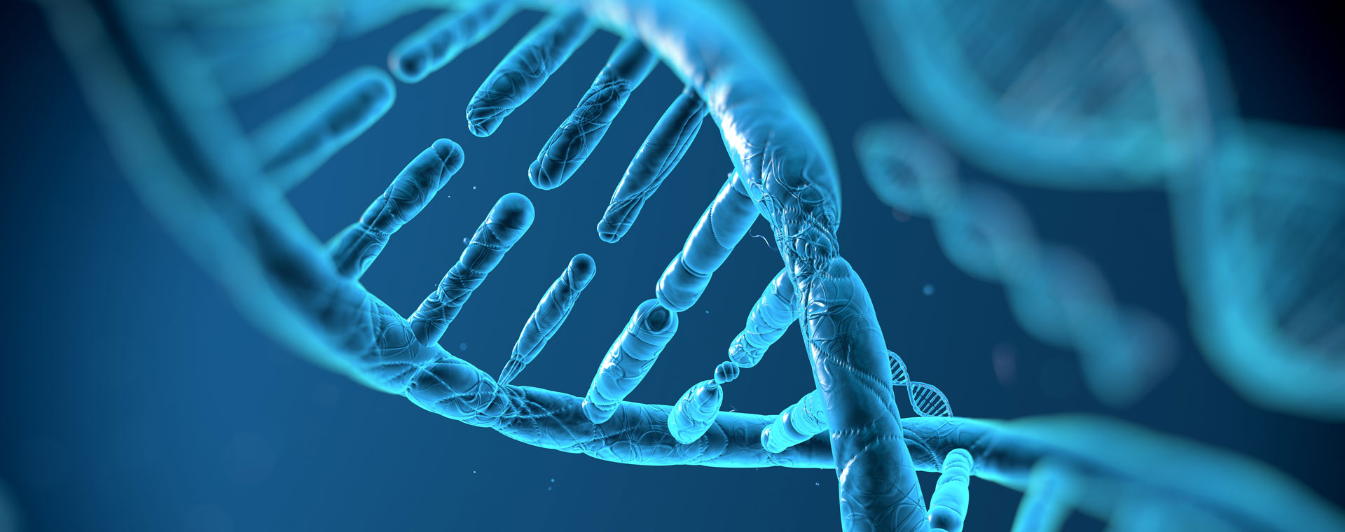 qScript-dna-hero.jpg qScript-dna-hero.jpg