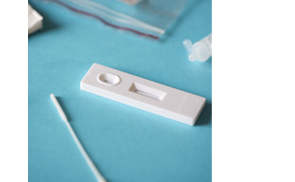 rapids_955x590.jpg rapids_955x590.jpg