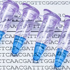 s2s-amplification-ngs-140210-140.jpg s2s-amplification-ngs-140210-140.jpg