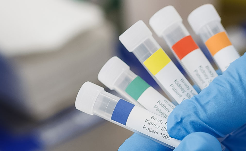 sample-identification-955.jpg sample-identification-955.jpg